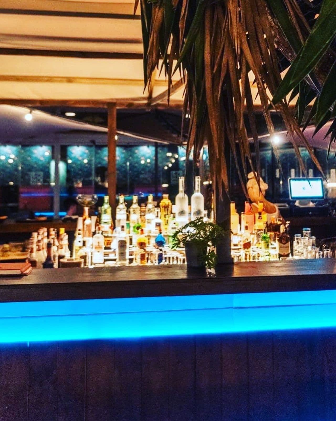 VIP Night Clubs & Bars
